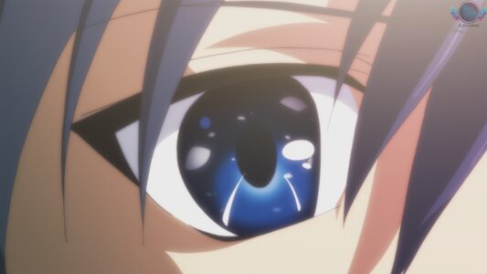 Clannad - Episodul 11