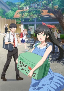 Kirei ni Shitemaraemasu ka